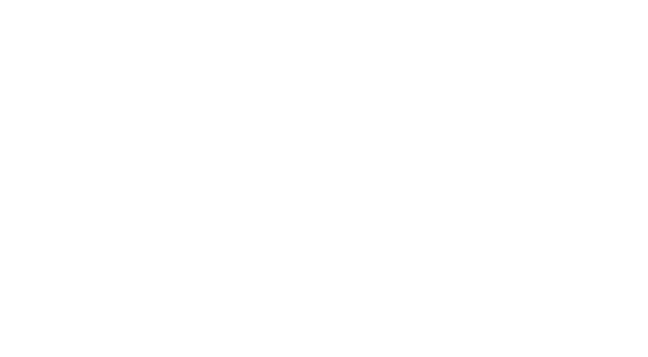 Frankfurt Airport